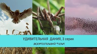 Удивительная Дания, 3 серия / Рейтинг 9,8 / Документальный фильм (2020)