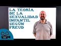La teoría de la sexualidad infantil según Freud