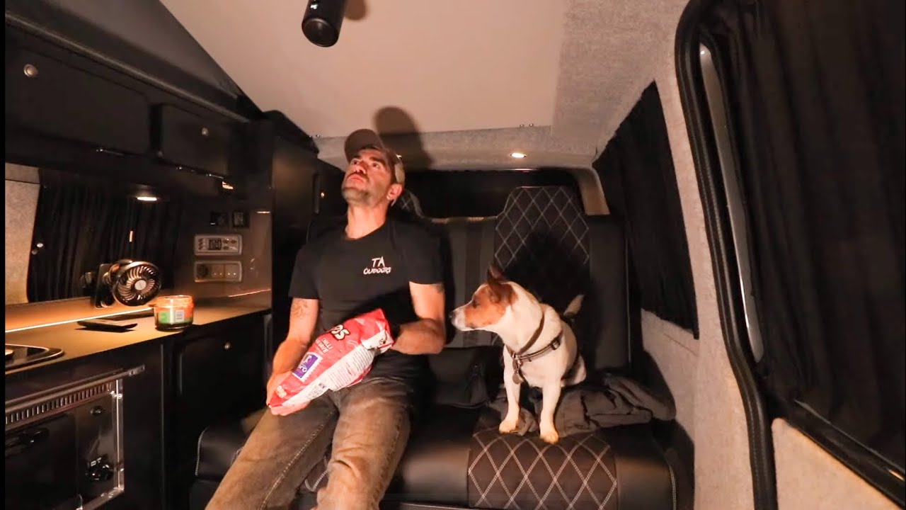 Van Camping: Solo Overnight with my Dog in a VW Campervan