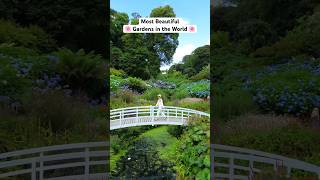This is one of the Most Beautiful Gardens in the World! 🤩 #uktravel #cornwall #travelshorts