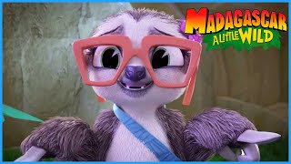 Lucia the Sloth | MADAGASCAR A LITTLE WILD