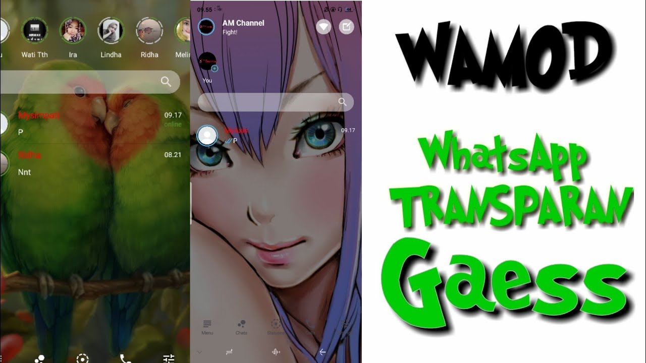 WAMOD || Whatsapp FULL TRANSPARAN workIT