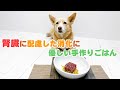 【簡単手作り犬ご飯】腎臓に配慮した消化に優しい手作りごはん【帝塚山ハウンドカム】