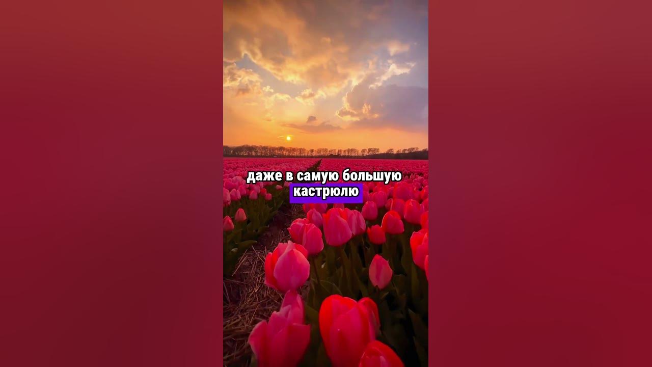 Самая большая кастрюля - YouTube