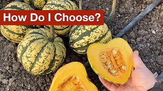 Which Squash Varieties Are We Going To Grow?