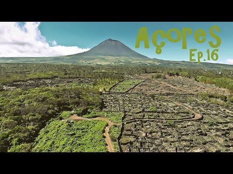 Rituais | Açores Ep.16: Ilha do Pico, São Roque, Caça à Baleia