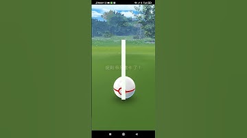 shiny Dialga caught by first ball fed with pinaberry