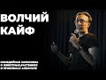 Stand up против наркотиков. Саша Гришаев