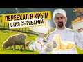 Содержание овец для сыроварни | Как готовят французские и итальянские сыры | Фермерское дело