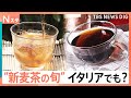 “新麦茶”の季節！麦茶工場では大麦焙煎・麦農家は収穫前の最後のチェックに大忙し 「幻の麦茶」「イタリアの麦茶」も｜TBS NEWS DIG