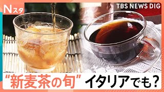 “新麦茶”の季節!麦茶工場では大麦焙煎・麦農家は収穫前の最後のチェックに大忙し 「幻の麦茶」「イタリアの麦茶」も|TBS NEWS DIG