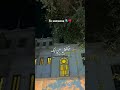 كلام الدنيا كله ميكفيش حبي ليك وائل جسار  