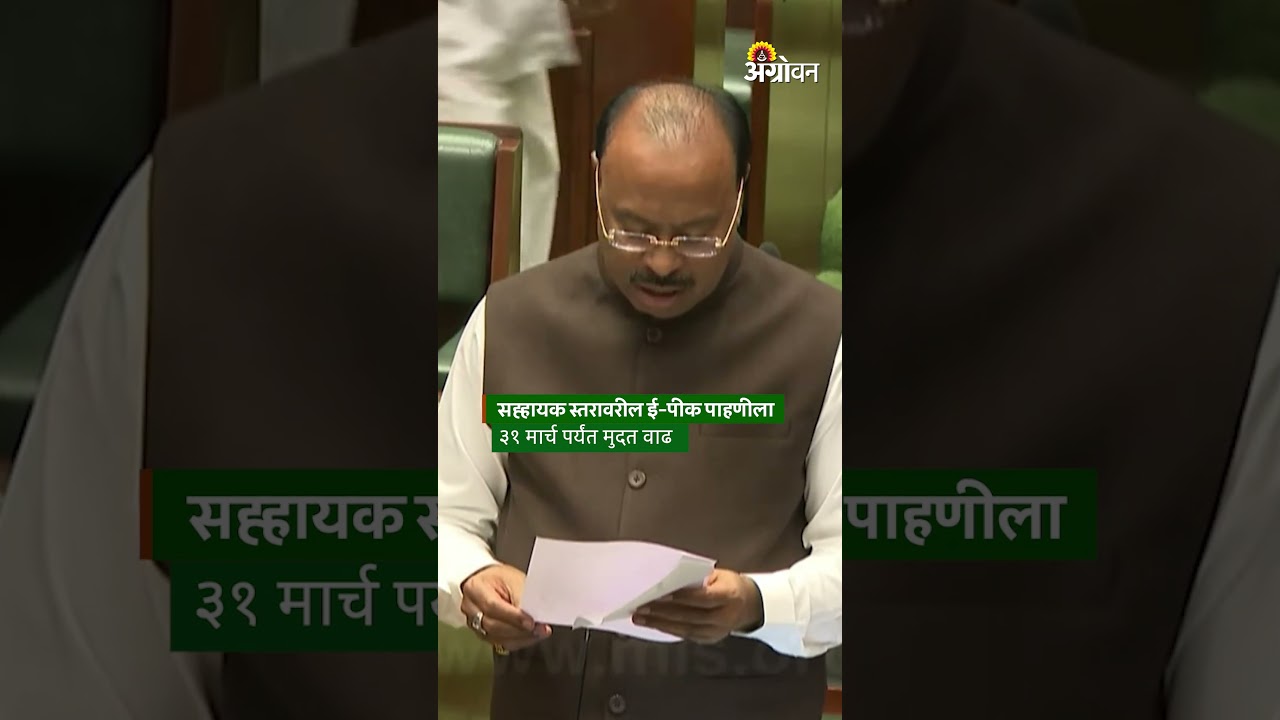 E Pik Pahani: ई-पीक पाहणीला ३१ मार्च पर्यंत मुदतवाढ | Agrowon