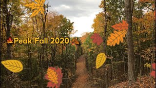 Pennsylvania Peak Fall Foliage