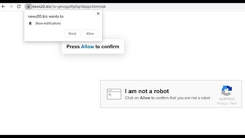 News20.biz push notifications (removal guide).