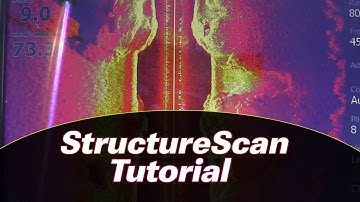 Lowrance StructureScan and SideScan [Catch Big Summer Largemouth Tutorial]
