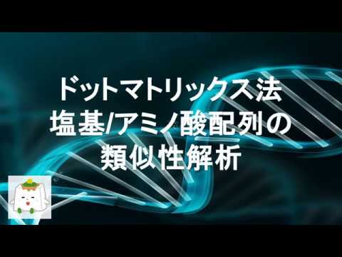 ドットマトリックス法による塩基配列やアミノ酸配列の類似性解析【生化学、情報学】