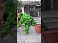 Crazy Bushman Prank Fails: Surveillance Camera Content 2025