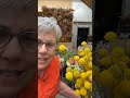 Succession planting at 8pm THE LIVE GARDENING SHOW! Comment APP and I’ll DM you the link or head to