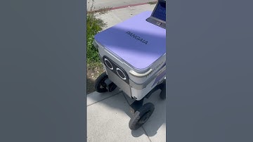 HUMAN REPLACEMENT: Haiden the Food Delivery Robot is Replacing a Human #fooddelivery #robot #ai