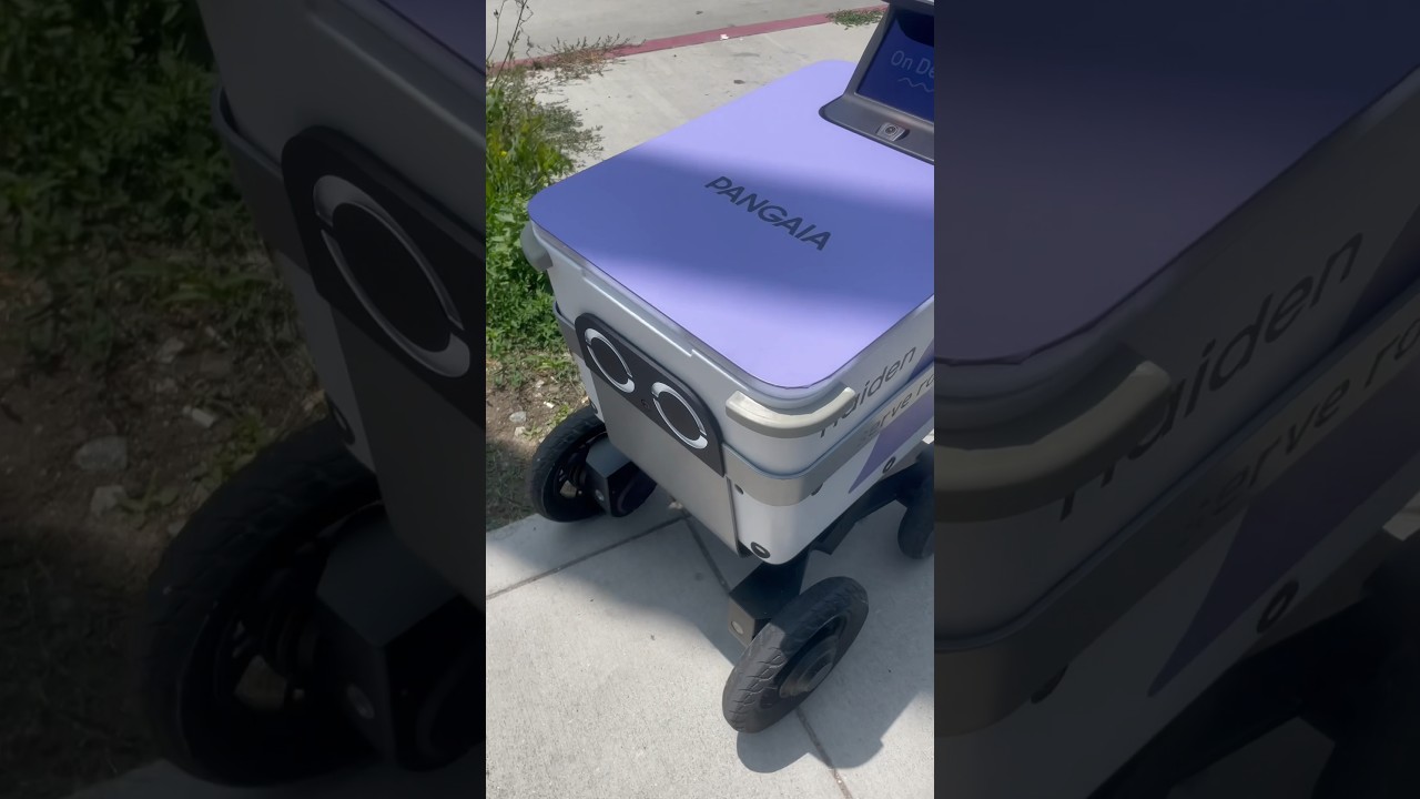 HUMAN REPLACEMENT: Haiden the Food Delivery Robot is Replacing a Human 