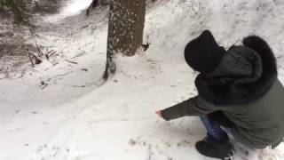 170103 Arosa 201 1