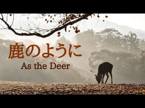 鹿のように　〜As the Deer 〜