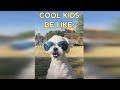 Funny maltese dogs  try not to laugh 