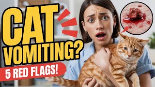 When Vomiting Isnt Normal In Cats 5 Red Flags You Must Know