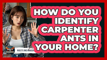 How Do You Identify Carpenter Ants In Your Home? - Insects and Invaders