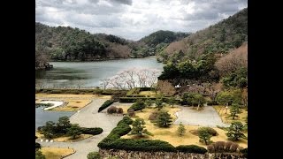 The Forest People - Presence