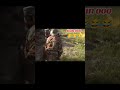 Run For Your Life ooo #Shorts #last_man_standing78