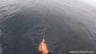 San Diego Offshore Fishing Trip