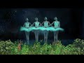 Лебединое озеро - Танец маленьких лебедей - Пётр Ильич Чайковский - Шедевры классической музыки в HD