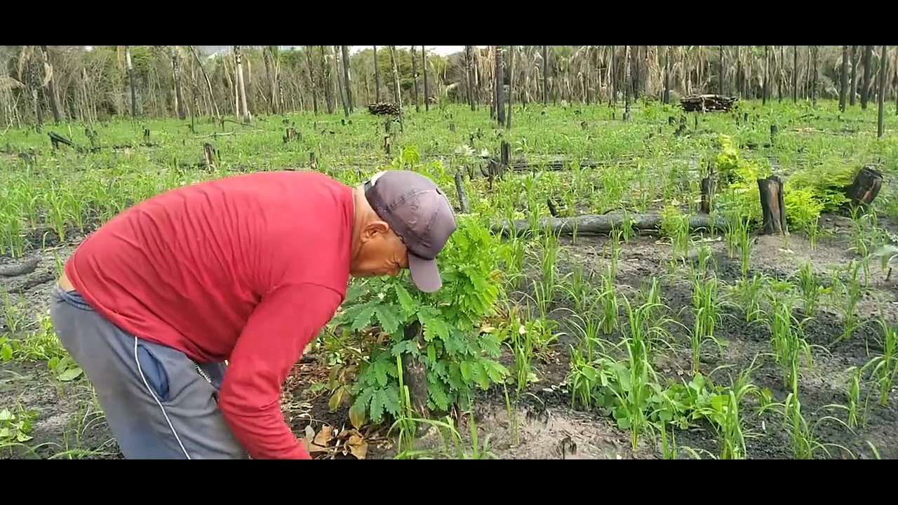 27 de fevereiro de 2026