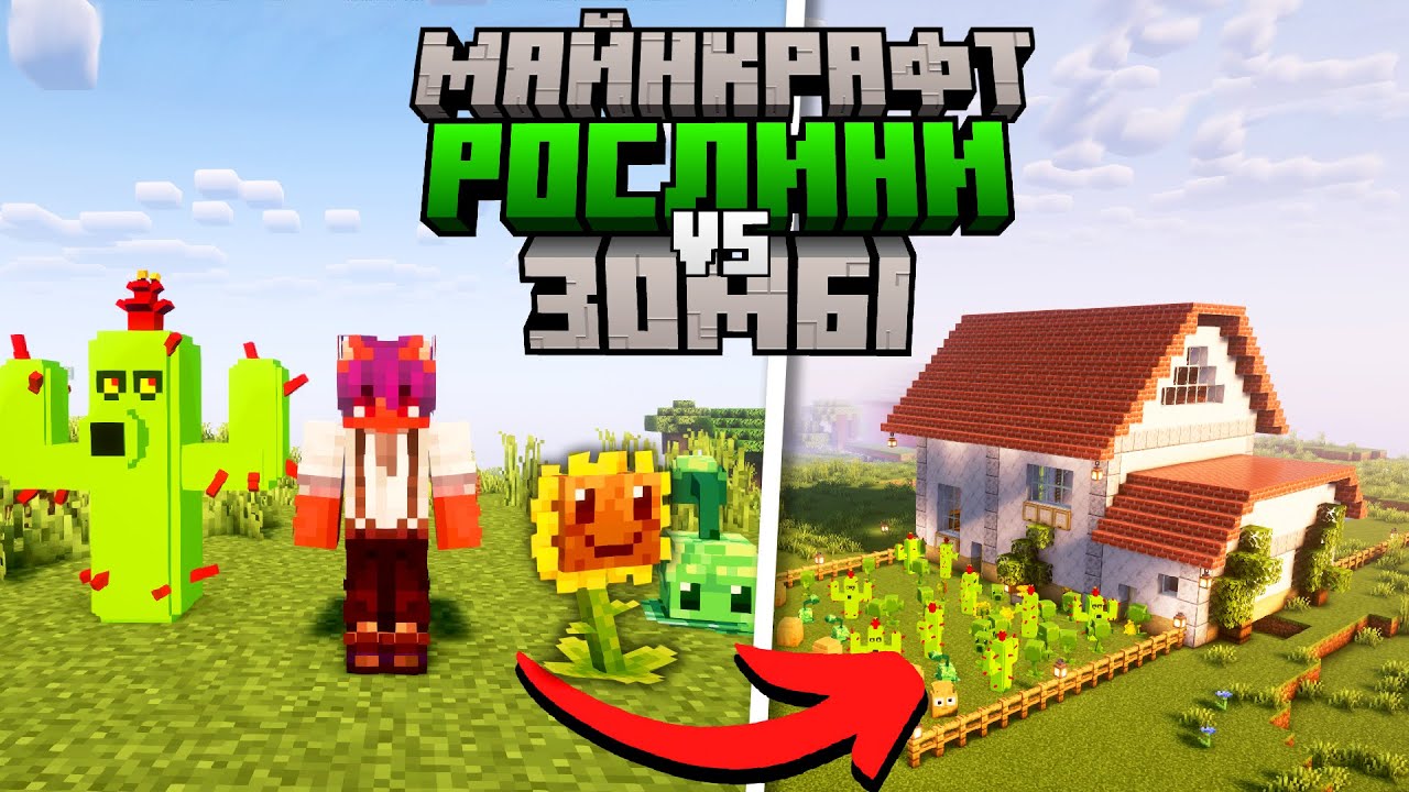 100 Днів з МОДОМ на 