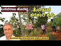 FARM TOUR-ಶಾಸಕ ಬಸವರಾಜ ಹೊರಟ್ಟಿ ತೋಟದ ತರಕಾರಿ ಕೃಷಿ ನೋಡಿ ಹೇಗಿದೆ!-E04-Basavaraja Horatti Farm-Kalamadhyama