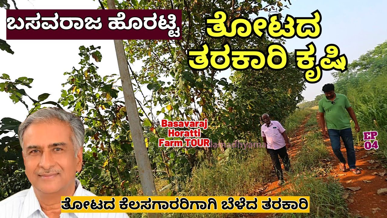 FARM TOUR-ಶಾಸಕ ಬಸವರಾಜ ಹೊರಟ್ಟಿ ತೋಟದ ತರಕಾರಿ ಕೃಷಿ ನೋಡಿ ಹೇಗಿದೆ!-E04-Basavaraja Horatti Farm-Kalamadhyama