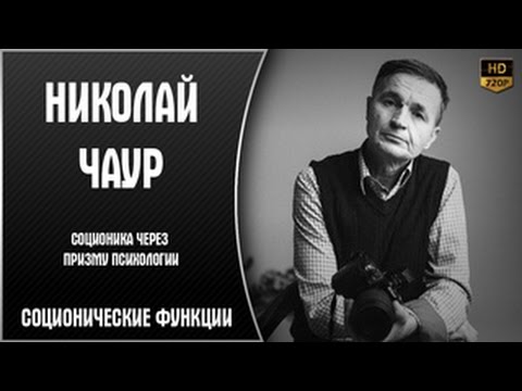 Соционические Функции | Николай Чаур