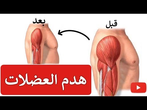 فيديو: متى تتوقف السترات الجلدية عن التغذية؟