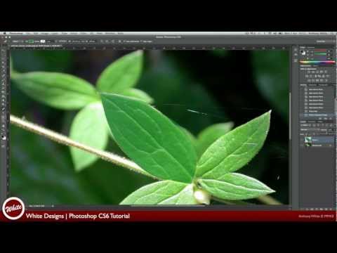 How to use Pen tool in Photoshop cs6 | Photoshop Tutorial - YouTube & Download