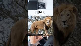 А как Вы думаете клиент всегда прав?#apple #iphone #ремонт #москва #сервис #macbook #айфон #android