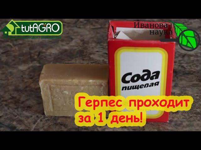 6 СПОСОБОВ ИЗБАВИТЬСЯ ОТ ПРОСТУДЫ НА ГУБАХ БЕЗ ТАБЛЕТОК и МАЗЕЙ. Герпес исчезает и не возвращается.