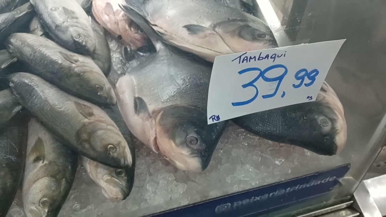 Pescados no Mercado Público de Florianópolis 