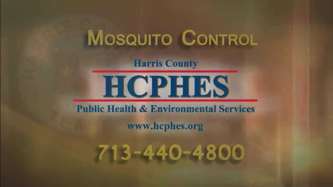 Mosquito Control in Pasadena Texas
