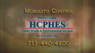 Mosquito Control in Pasadena Texas