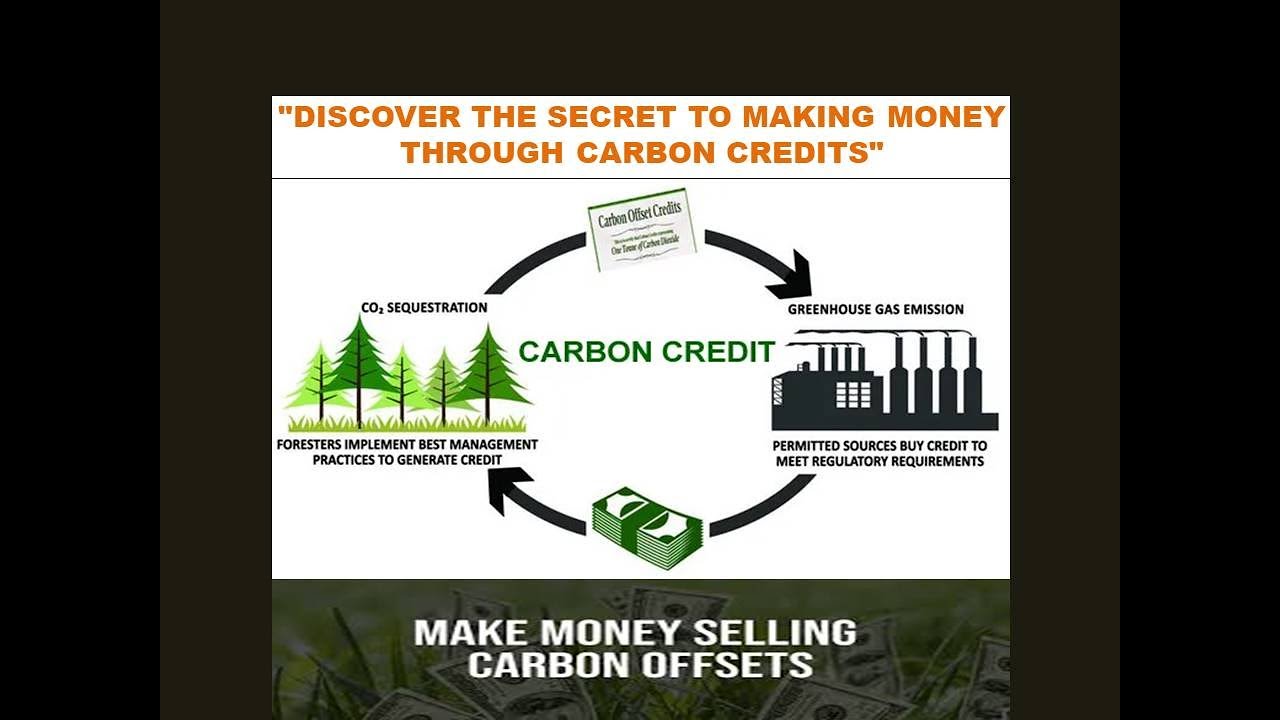 Discover the Secret to Making Money through Carbon Credits