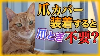 猫に爪カバーをしても爪とぎは必要ですか？