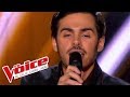 Michael jackson  human nature  grme gallo  the voice france 2013  blind audition