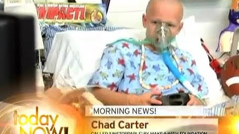 Child Bankrupts Make A Wish Foundation